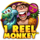 1 REEL MONKEY